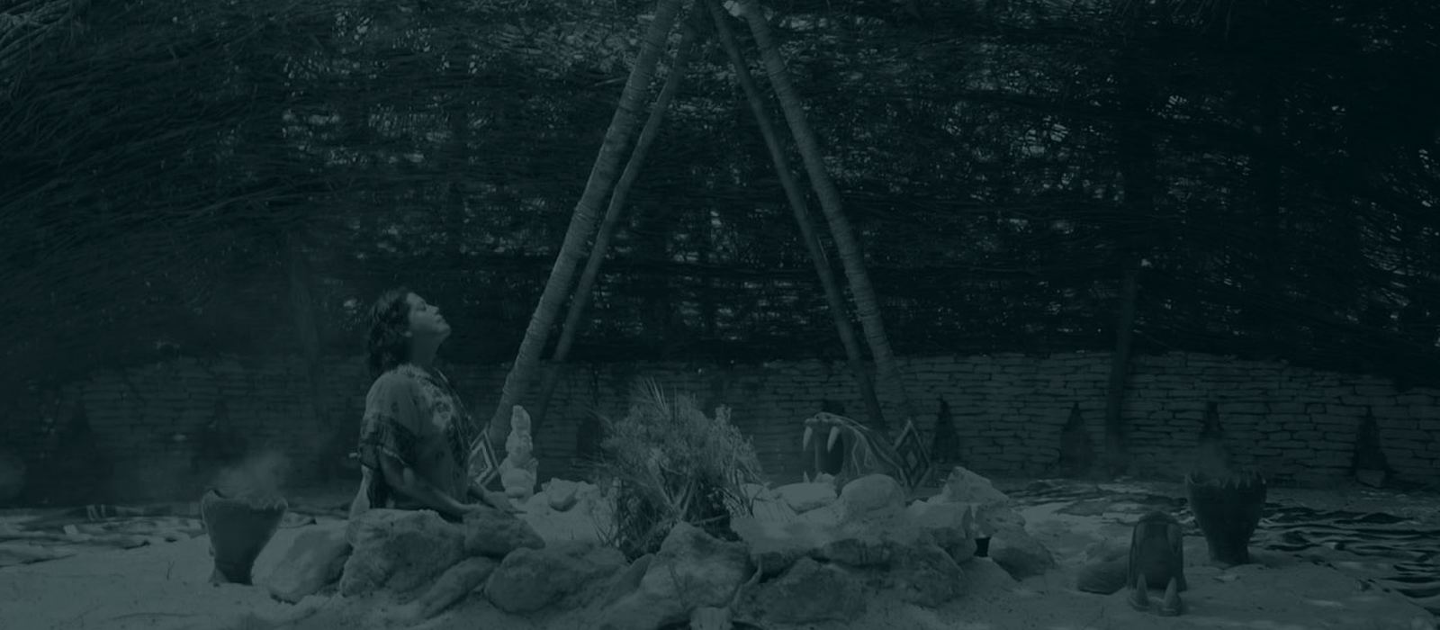 Private Cacao Ceremony